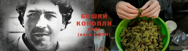 ПСИЛОЦИБИНОВЫЕ ГРИБЫ Балабаново