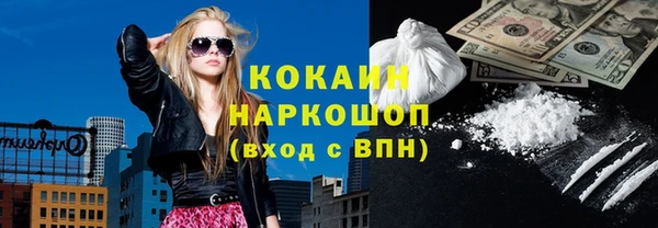 хмурый Ельня