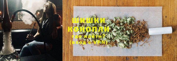 ПСИЛОЦИБИНОВЫЕ ГРИБЫ Баксан