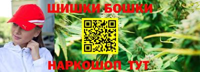 прущие грибы Будённовск