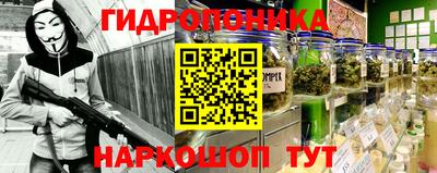 прущие грибы Будённовск