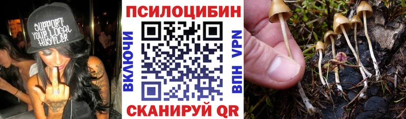 купить наркотик Вятские Поляны Псилоцибиновые грибы MAGIC MUSHROOMS