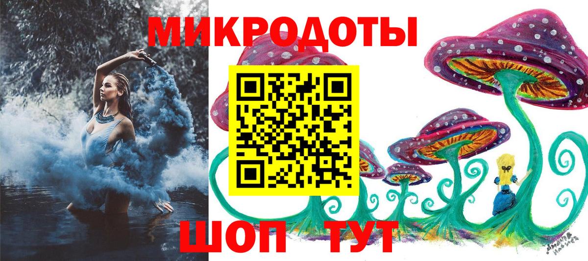 Псилоцибиновые грибы Cubensis Вятские Поляны