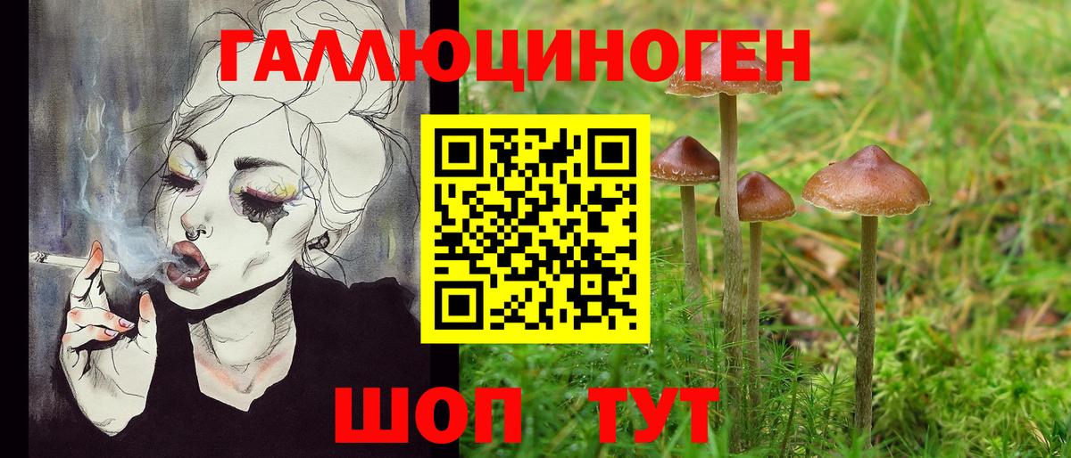 закладка  Вход с VPN  Вятские Поляны  Псилоцибиновые грибы MAGIC MUSHROOMS  Галлюциногенные грибы Cubensis 